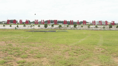 6.gif