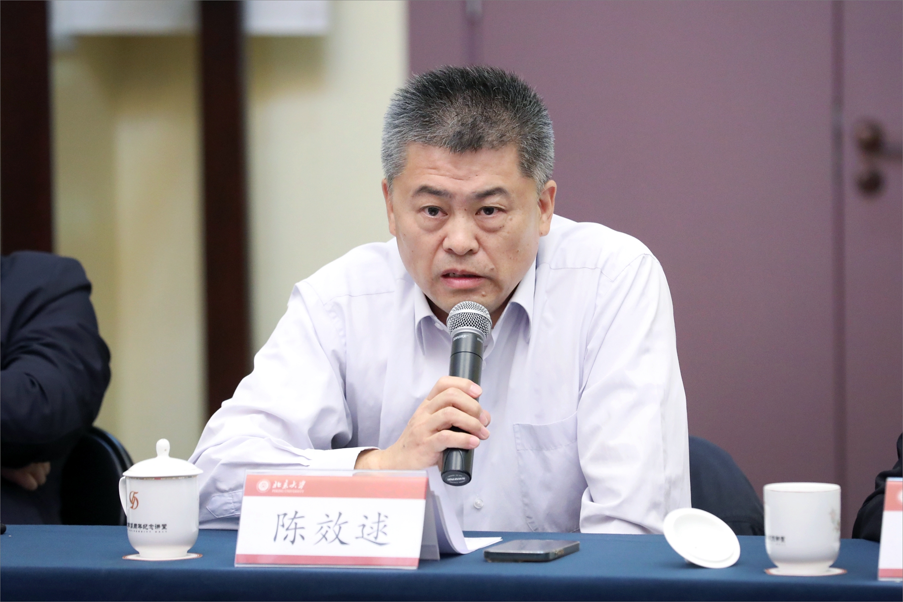 民建北大委员会主委陈效逑发言.jpg