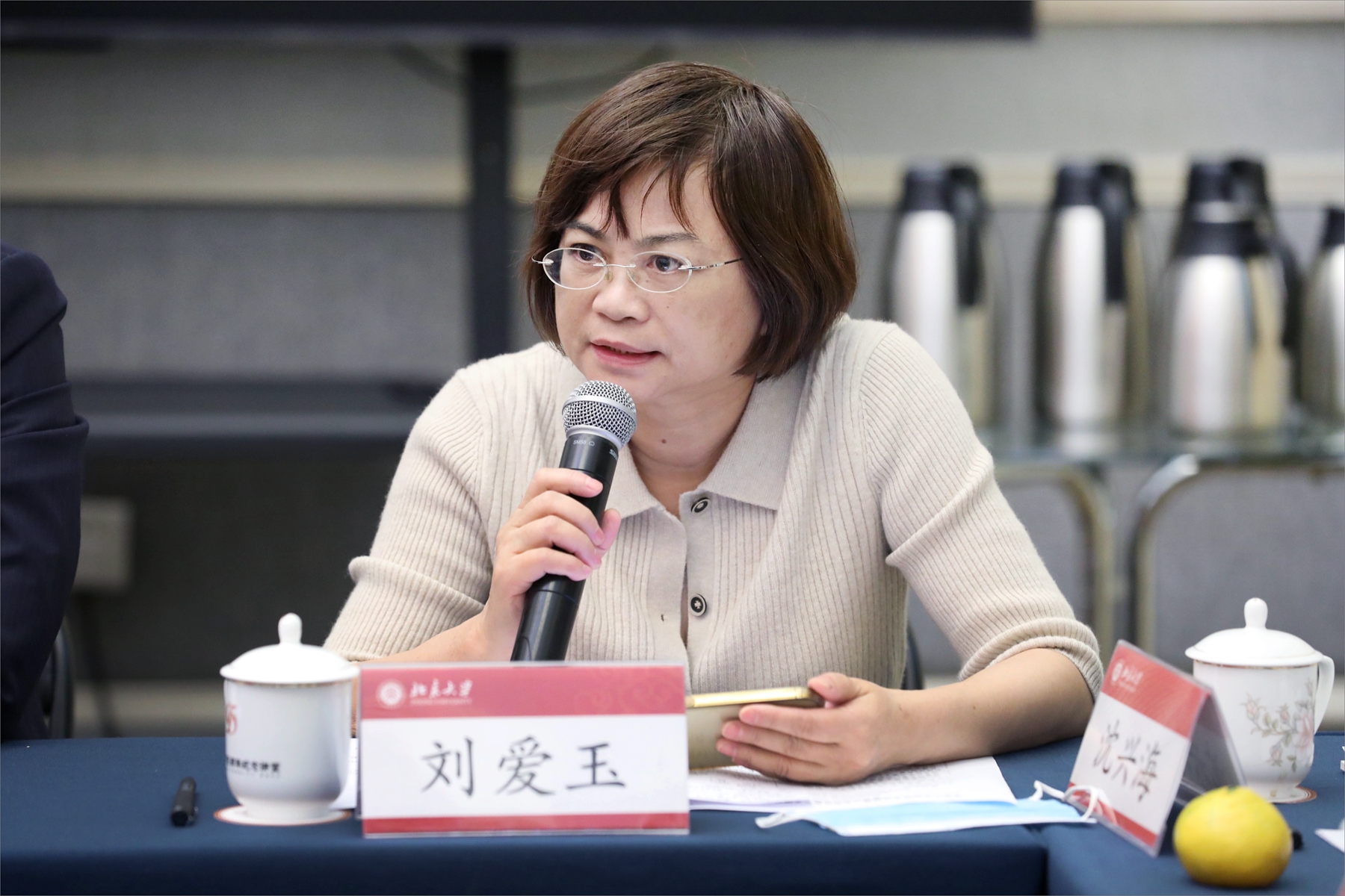 民进北大基层委员会副主委刘爱玉发言.jpg