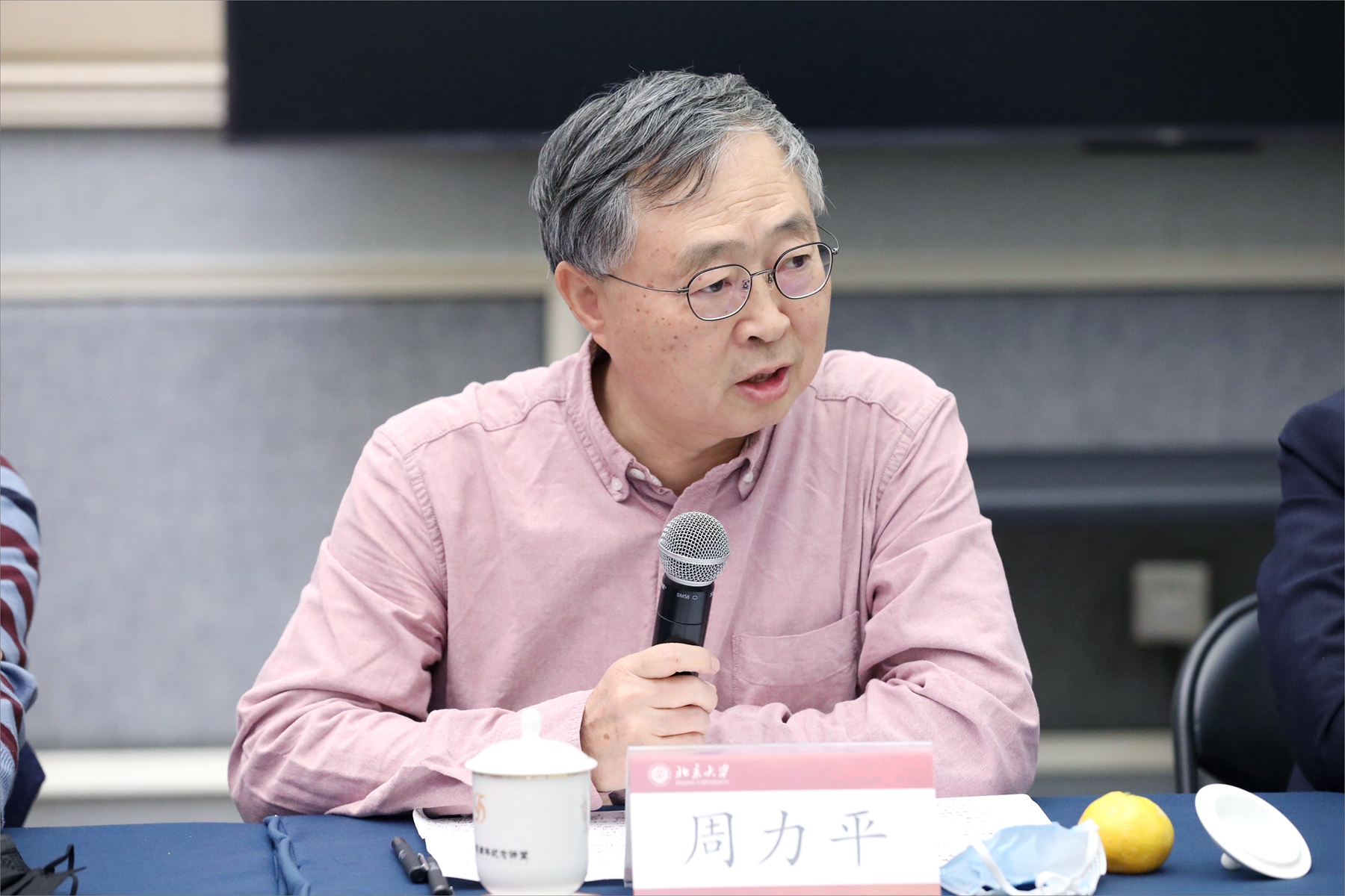 北大侨联主席、无党派人士周力平发言.jpg
