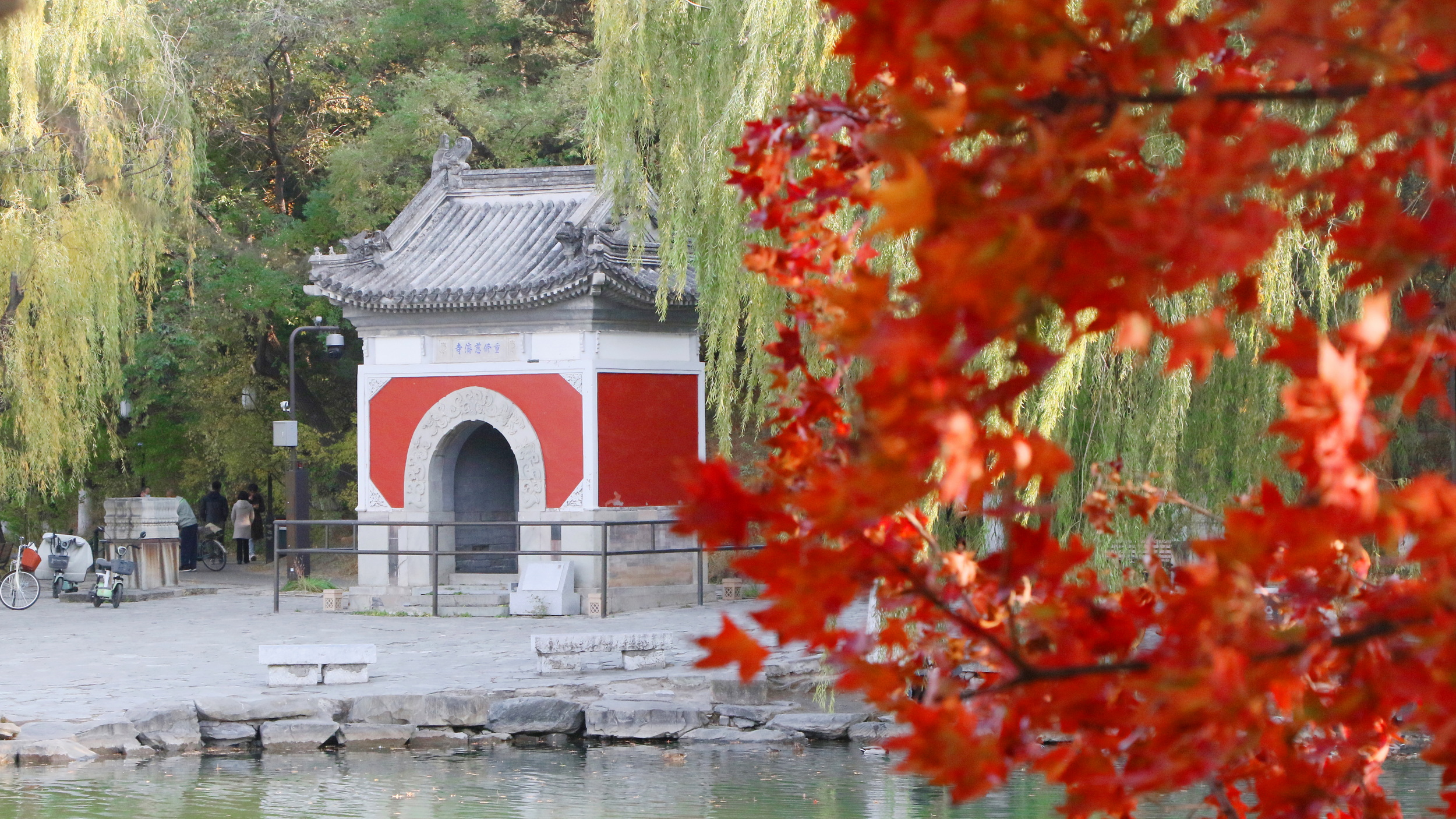 7R1A8416_调整大小.JPG