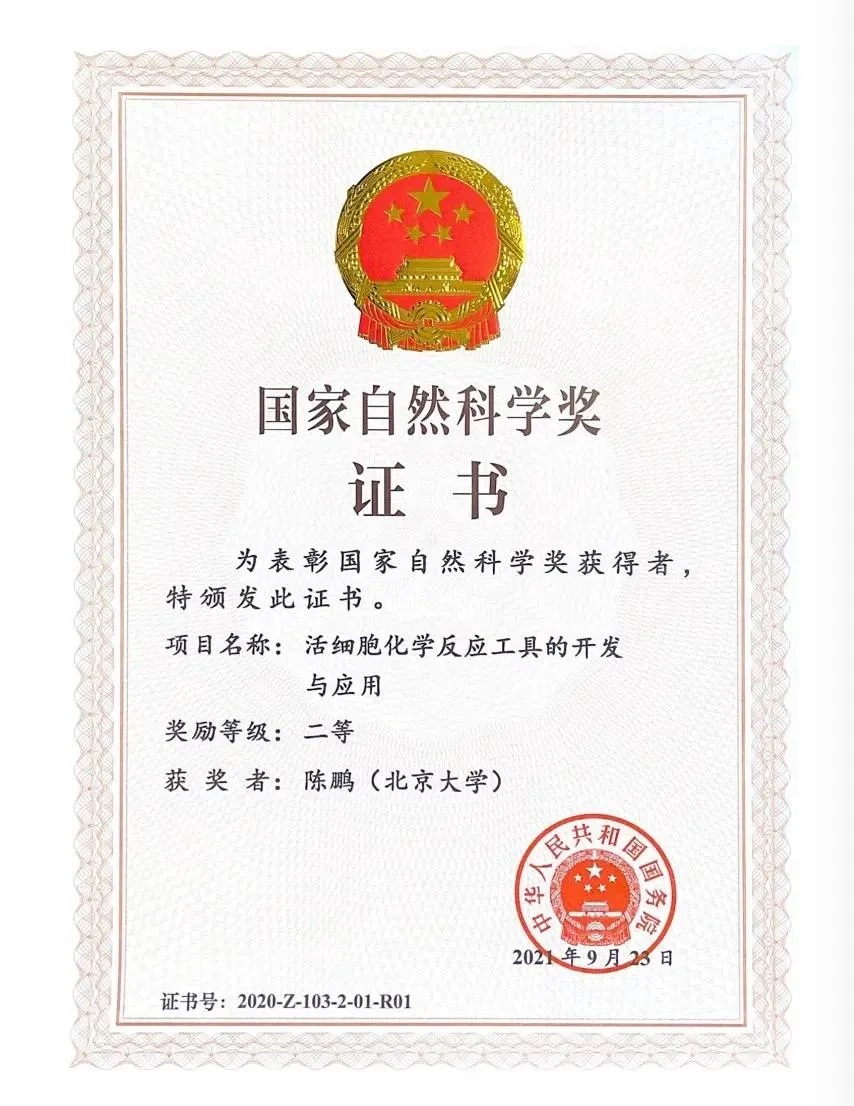 dce6f69cf6f040869eb8ff5ee0c5423f.jpg