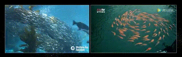 32a20f9203dd4551bb40f9246da3c8be.gif