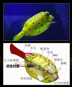 713c7e7b528d4c069c410b5e16a1cfae.gif