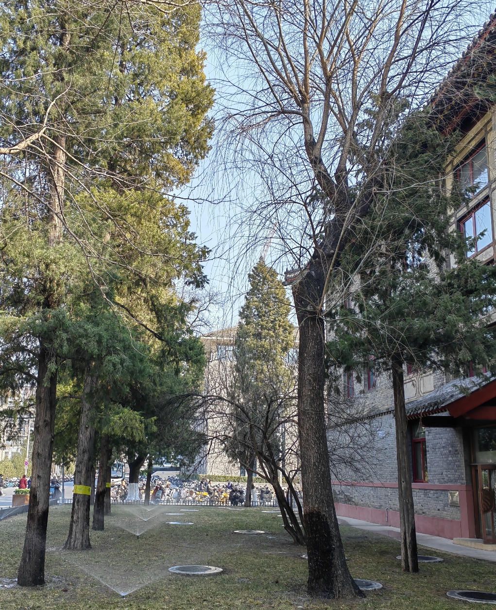 image5.jpeg