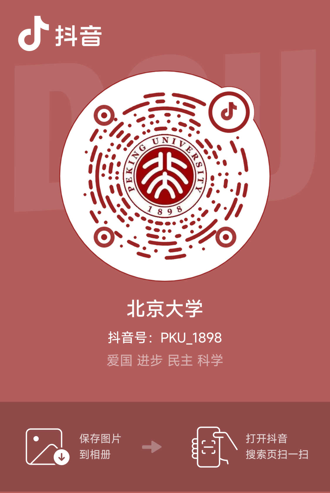 image12.png