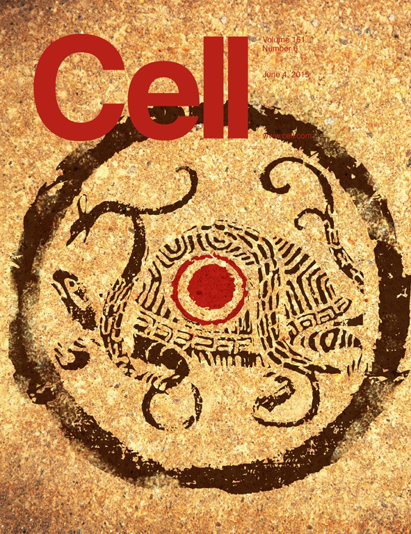 2015cover.tif (1).jpg