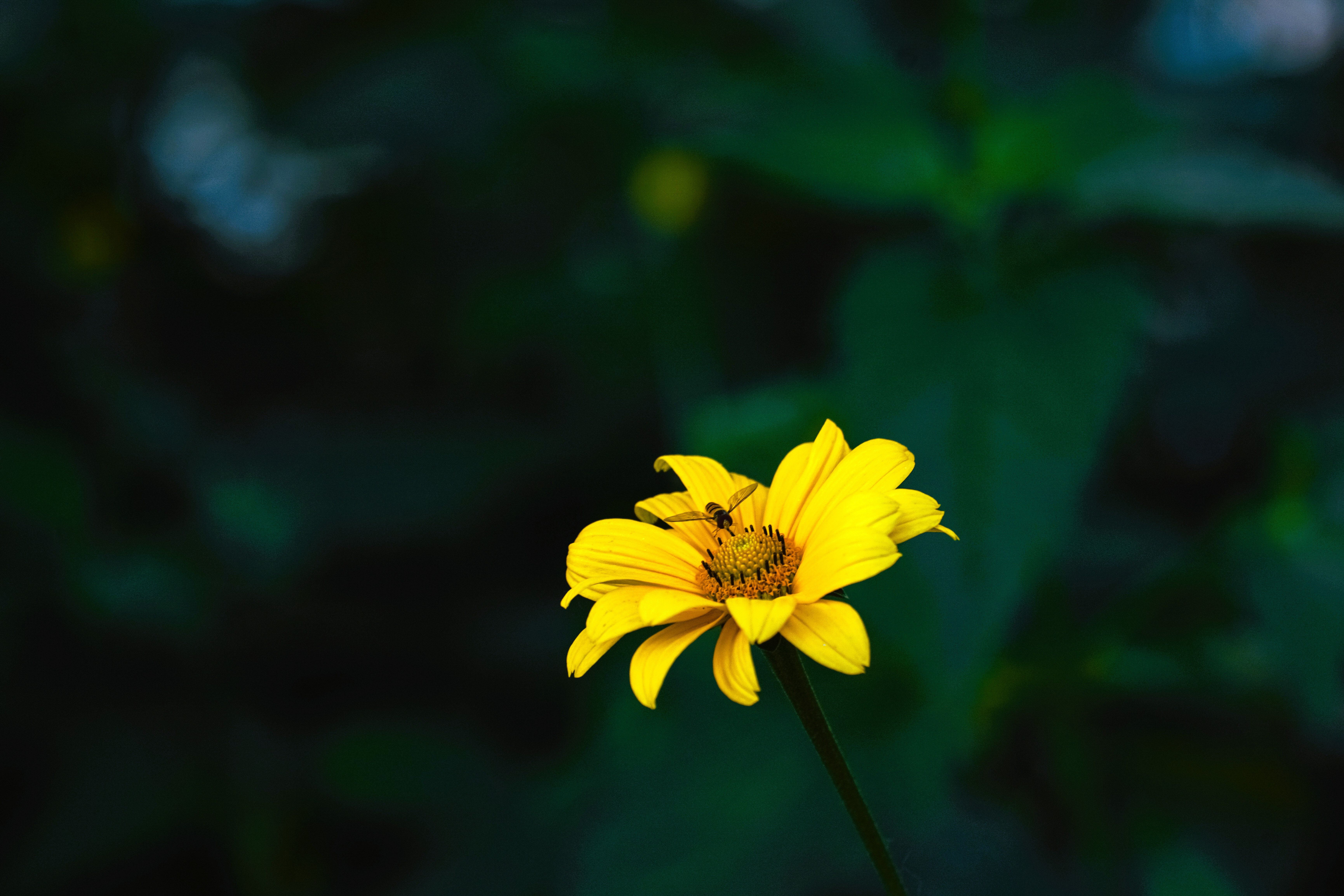 aebab3a668914cf1942e3ec142bb6f73.jpg