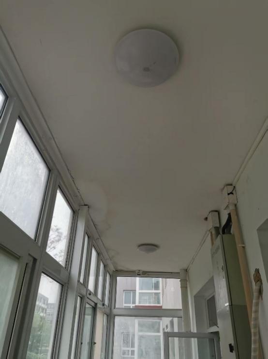 image12.jpeg
